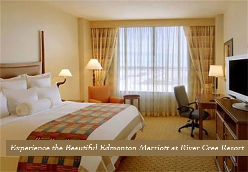 marriott room_500x347